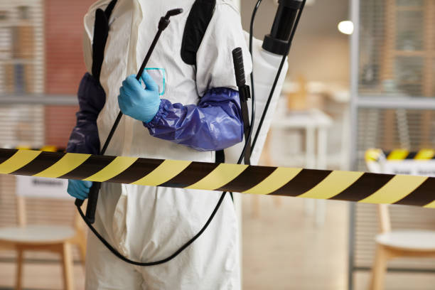 Professional Sewage Cleanup technician working in White Hall, MD